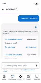 AWS Console 3.10.1. Скриншот 8