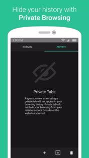 Amazon Internet Browser 1.0.200175.0. Скриншот 5