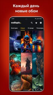Wallspic 1.7.0. Скриншот 2