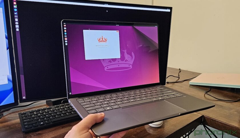 Ryzen AI Max PRO 390 протестировали в Windows и Ubuntu: Linux лучше по всем фронтам