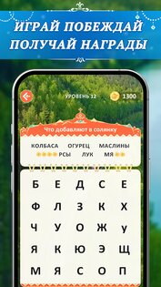 РусСлово 1.5.0. Скриншот 14