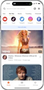 iFlyTube 10.10.50. Скриншот 2