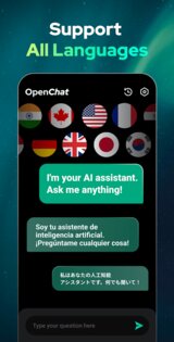 Open Chat 1.1.9. Скриншот 7