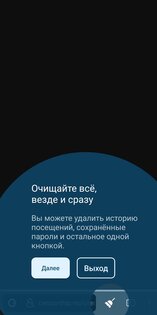 Ceno Browser 2.5.1. Скриншот 6