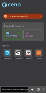 Ceno Browser 2.5.1. Скриншот 8