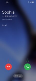 ODialer 15.0.20. Скриншот 1