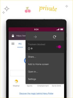 Private Browser 3.5.2. Скриншот 11