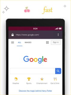 Private Browser 3.5.2. Скриншот 14