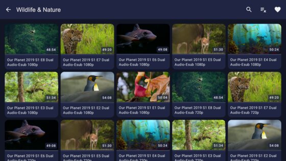 EchoGram – TV for Telegram 1.0-rc.1. Скриншот 16