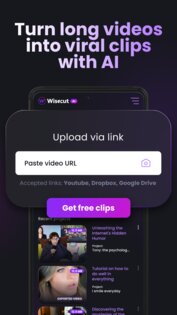 Wisecut 1.0.6. Скриншот 1