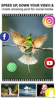 Video Speed Changer – изменение скорости видео 1.9. Скриншот 10