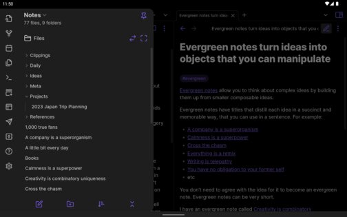 Obsidian 1.8.10. Скриншот 12