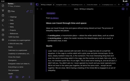 Obsidian 1.8.10. Скриншот 17