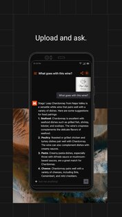 Le Chat by Mistral AI 1.1.3. Скриншот 4
