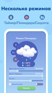 Focus Plant 4.3.1. Скриншот 3