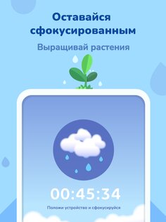 Focus Plant 4.3.1. Скриншот 17