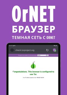 OrNET браузер 1.9.9. Скриншот 8