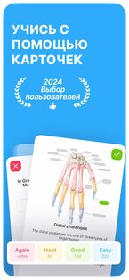 Noji – учись с карточками 2.13.0. Скриншот 1