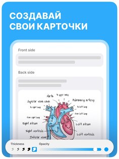 Noji – учись с карточками 2.13.0. Скриншот 9