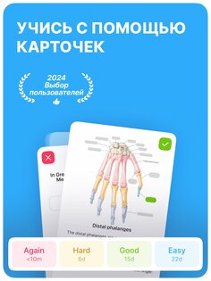 Noji – учись с карточками 2.13.0. Скриншот 15