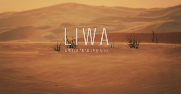 Google взяла верблюда и погнала по пустыне Лива