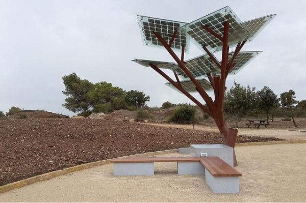 В Израиле высаживают деревья на солнечных батареях