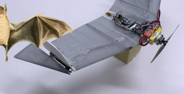 DALER: робот, вдохновленный летучей мышью-вампиром