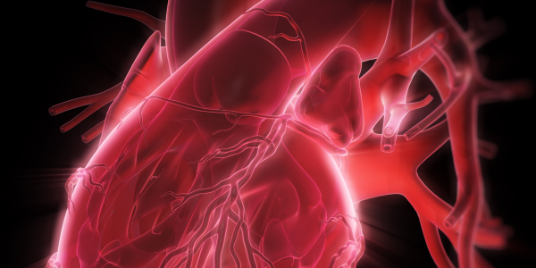 Направленные наночастицы предотвратят сердечные заболевания