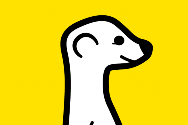 Приложение Meerkat для видео-трансляций в Twitter