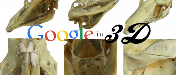 Google расширяет онлайн музей 3D-объектами