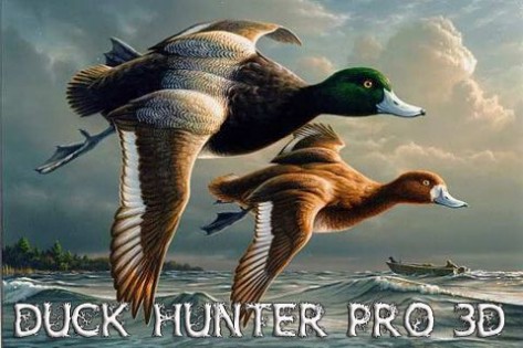 Duck hunter pro 3D 1.0. Скриншот 1