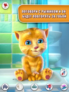 Talking Ginger. Скриншот 2