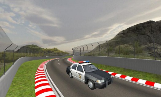 Duty Cop Driver 3.0. Скриншот 2