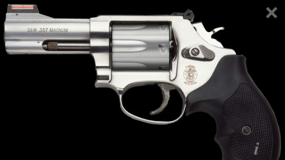 Revolver pro 1.00. Скриншот 1