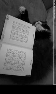 AR Sudoku Solver 0.6. Скриншот 1