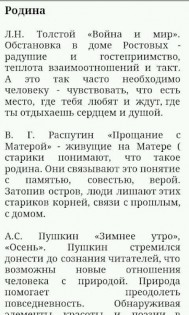 ЕГЭ Русский язык Аргументы 1.3.1. Скриншот 2