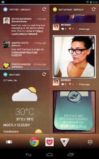 Chameleon Launcher 2.0.5. Скриншот 2