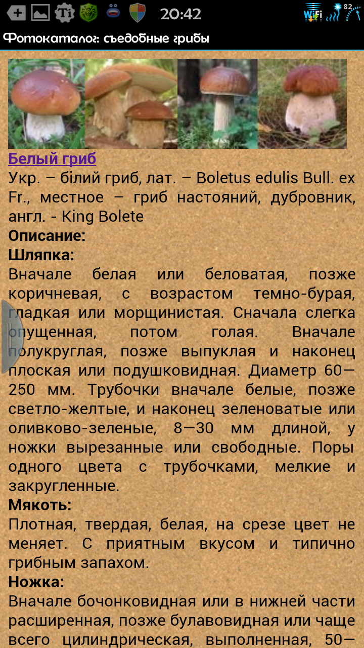 Скачать Энциклопедия грибника 1.01 для Android