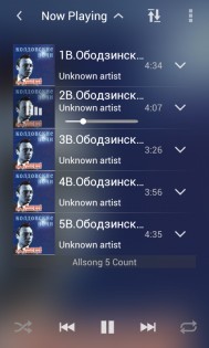 Wiizm Player 1.0.2. Скриншот 4