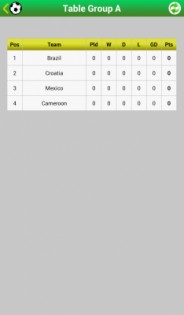 Чемпионат Мира по футболу 2014 1.0. Скриншот 1