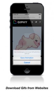 GifPlayer. Скриншот 3