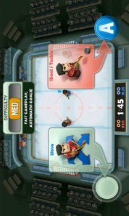 Ice Rage: Hockey. Скриншот 1