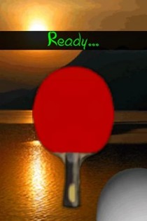 3D Paddle Bounce 2.4.7. Скриншот 2