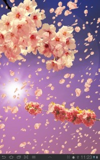 Sakura Живые обои 1.65. Скриншот 2