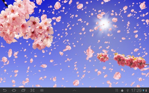 Sakura Живые обои 1.65. Скриншот 4