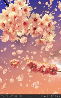 Sakura Живые обои 1.65. Скриншот 6