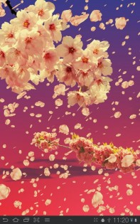 Sakura Живые обои 1.65. Скриншот 7