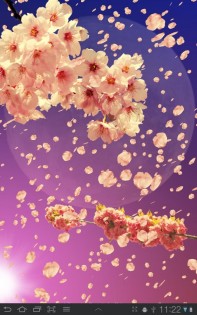 Sakura Живые обои 1.65. Скриншот 8