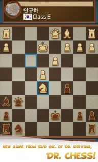 Dr. Chess 1.62. Скриншот 3