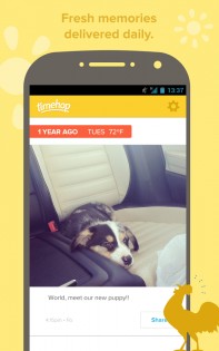 Timehop – делитесь воспоминаниями 4.18.0. Скриншот 4